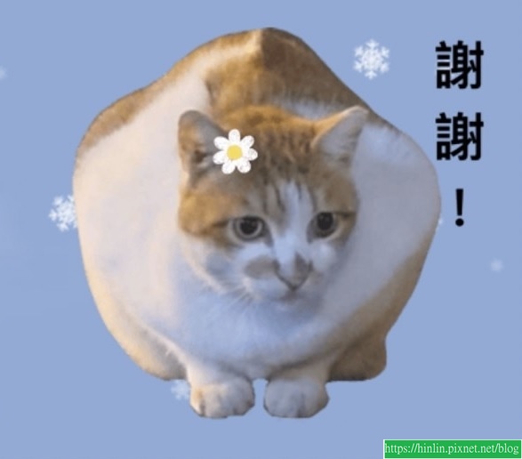 森森的貼圖集(113.12.28)