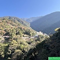 八通關古道，東埔吊橋到雲龍瀑布(114.1.20)