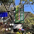 八通關古道，東埔吊橋到雲龍瀑布(114.1.20)