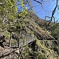 八通關古道，東埔吊橋到雲龍瀑布(114.1.20)