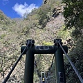 八通關古道，東埔吊橋到雲龍瀑布(114.1.20)
