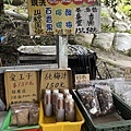 八通關古道，東埔吊橋到雲龍瀑布(114.1.20)