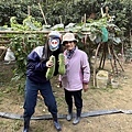 乙巳蛇年，初三採果樂(114.1.31)