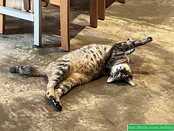 拜訪。老家(114.9.13) 拜訪。老家(114.9.13)