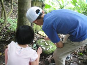 賞桐花(100.5.8) 賞桐花(100.5.8)