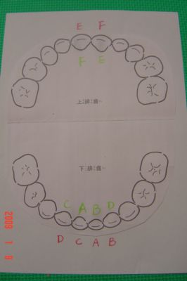 嘟嘟和琳琳的掉牙/長牙記錄(98.1.9) 嘟嘟和琳琳的掉牙/長牙記錄(98.1.9)