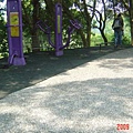 竹東鎮森林公園 + 潛園(98.4.12)