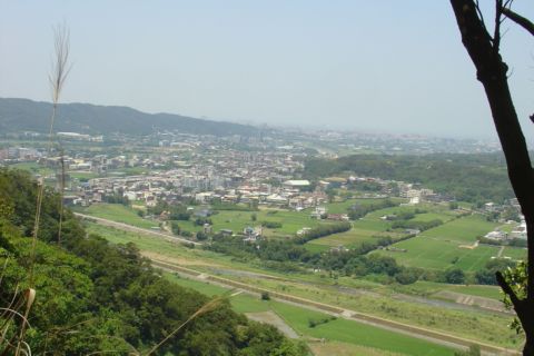 新埔鎮,飛龍健行步道 + 粄條大王(98.5.1) 新埔鎮,飛龍健行步道 + 粄條大王(98.5.1)