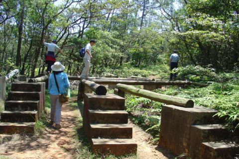 新埔鎮,飛龍健行步道 + 粄條大王(98.5.1)