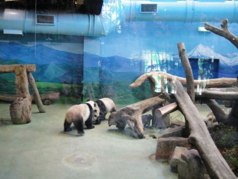 第一次到木柵動物園(98.9.26) 第一次到木柵動物園(98.9.26)