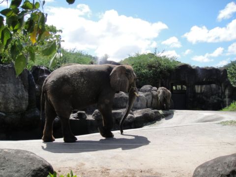 第一次到木柵動物園(98.9.26)