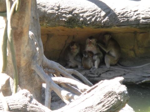 第一次到木柵動物園(98.9.26)