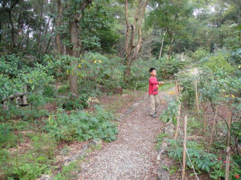 清大，清華蝴蝶園(99.1.21)