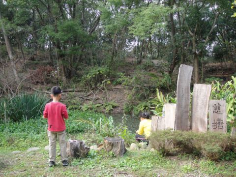 清大,清華蝴蝶園(99.1.21) 清大,清華蝴蝶園(99.1.21)