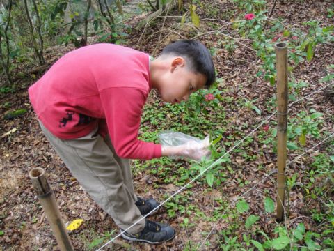 清大,清華蝴蝶園(99.1.21) 清大,清華蝴蝶園(99.1.21)