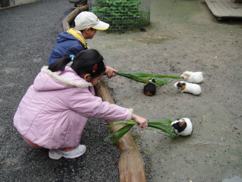 北埔，綠世界生態農園(99.4.3)