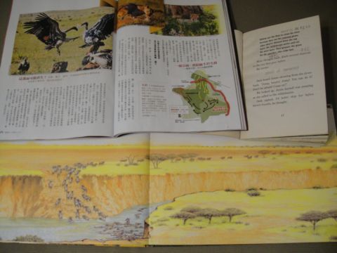 一個讀「神奇樹屋」的小孩和媽媽的讀書心得(99.10.20)