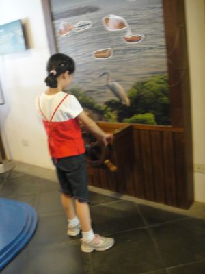 臺北市鄉土教育中心(99.8.28) 臺北市鄉土教育中心(99.8.28)