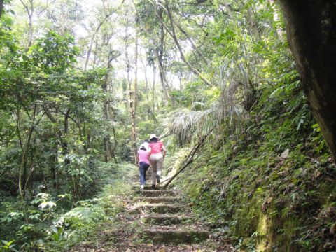 北埔，再訪二寮神木區(100.6.4)