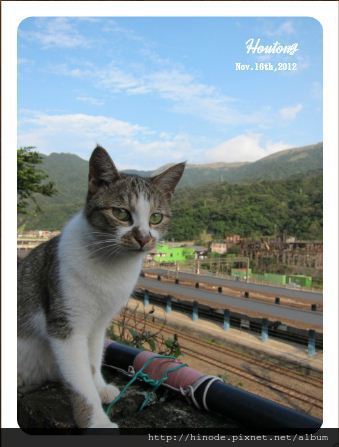擷取4 擷取4
