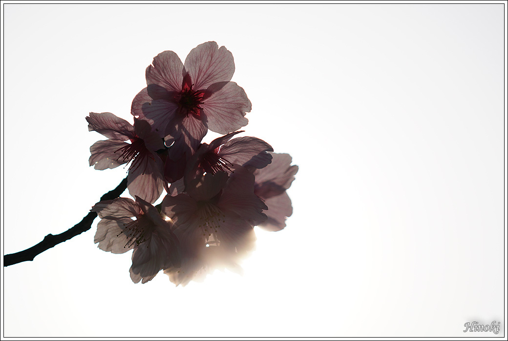 033_DSC03183_A6300.jpg 033_DSC03183_A6300.jpg