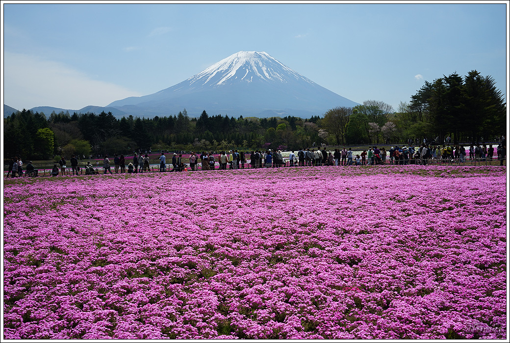 01_DSC02291_A7R.jpg 01_DSC02291_A7R.jpg