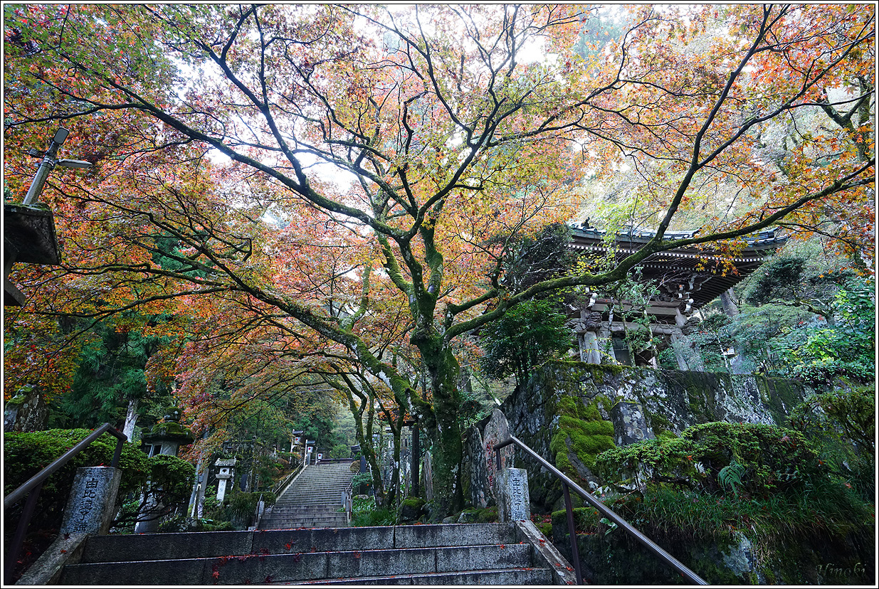 2023.11.17~19 大雄山最乘寺&御嶽昇仙峽&東京昭