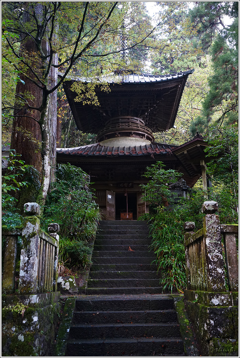 2023.11.17~19 大雄山最乘寺&御嶽昇仙峽&東京昭