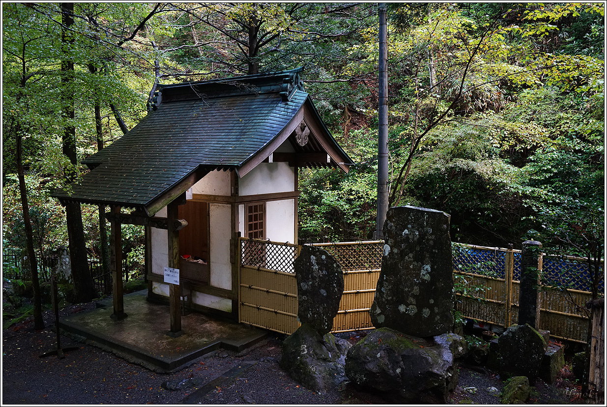 2023.11.17~19 大雄山最乘寺&御嶽昇仙峽&東京昭