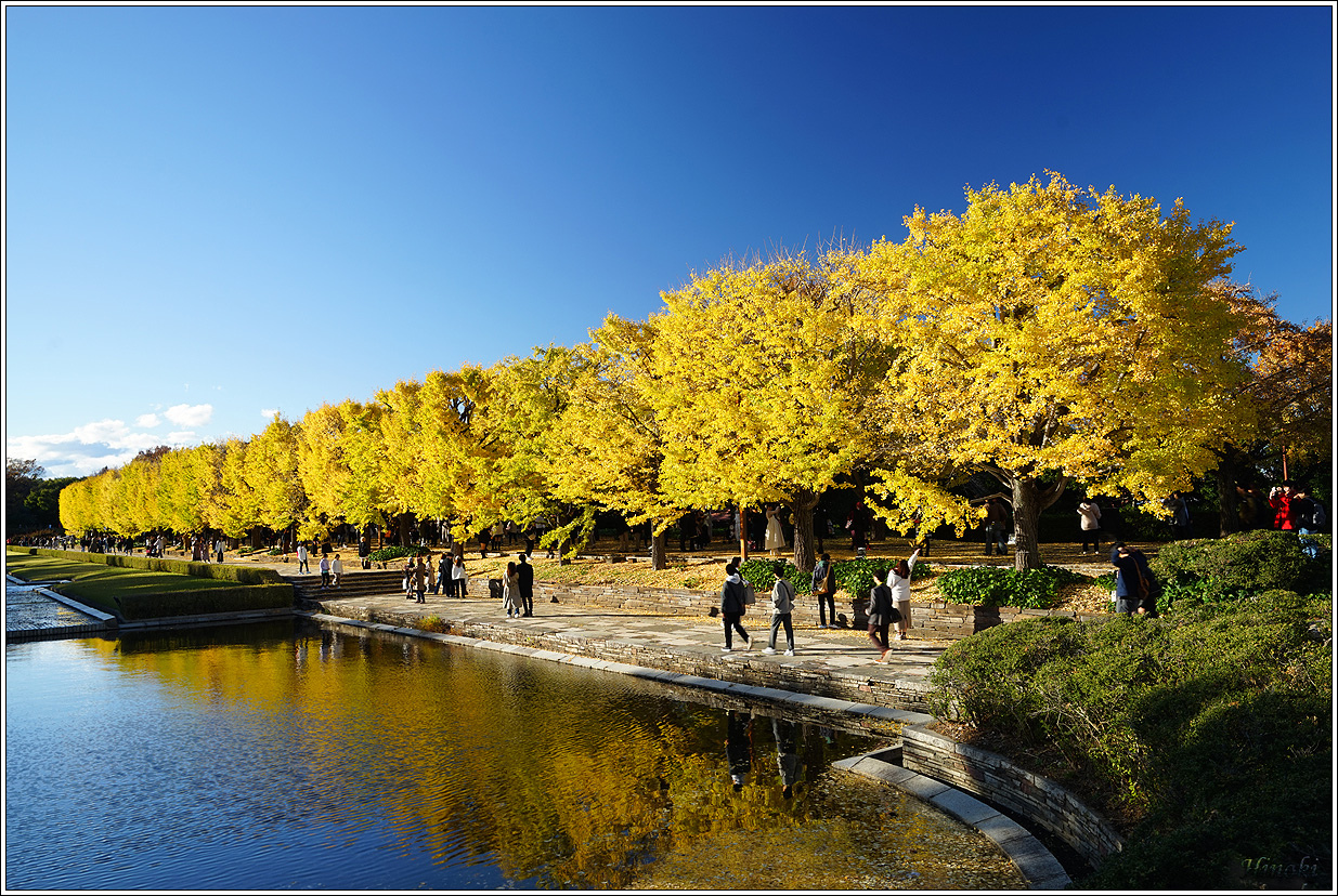 2023.11.17~19 大雄山最乘寺&御嶽昇仙峽&東京昭