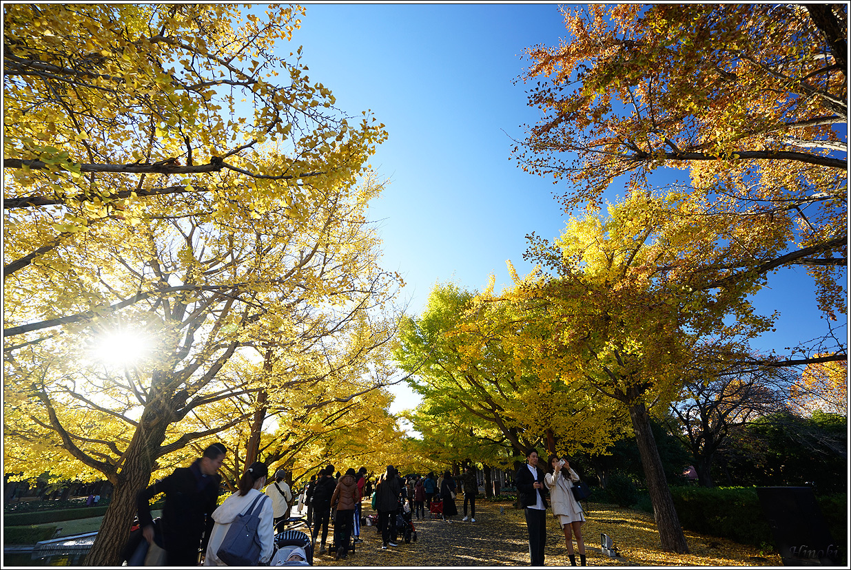 2023.11.17~19 大雄山最乘寺&御嶽昇仙峽&東京昭