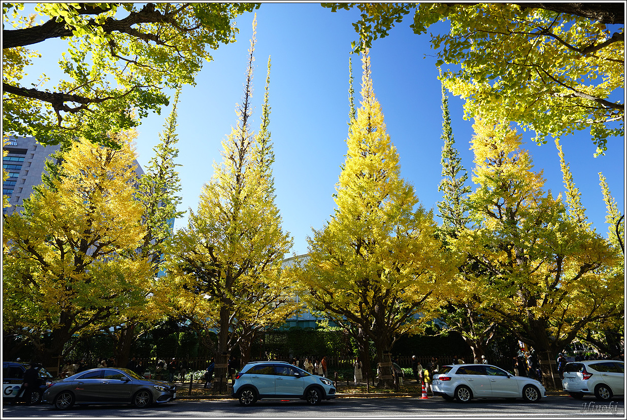 2023.11.17~19 大雄山最乘寺&御嶽昇仙峽&東京昭