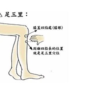 穴位減肥瘦身 足三里穴 血海穴 水分穴 夢想起飛 痞客邦