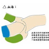 穴位減肥瘦身 足三里穴 血海穴 水分穴 夢想起飛 痞客邦