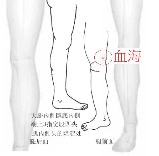 穴位減肥瘦身 足三里穴 血海穴 水分穴 夢想起飛 痞客邦