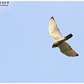 IMG_04791.JPG