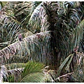 m1.JPG
