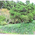 IMG_7024.jpg