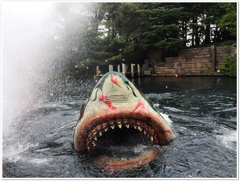 IMG_2486.JPG IMG_2486.JPG