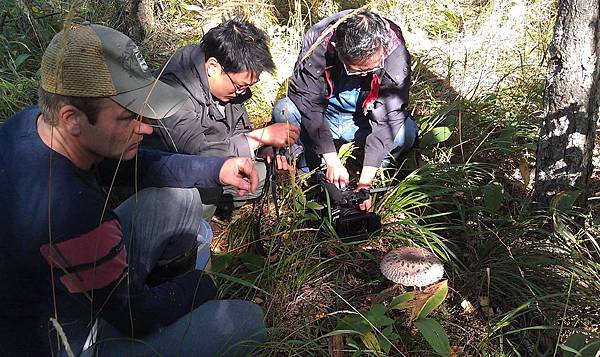 IMAG1261.jpg IMAG1261.jpg