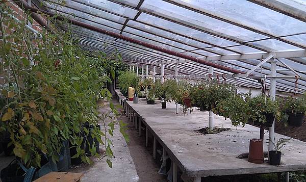 IMAG1098.jpg IMAG1098.jpg