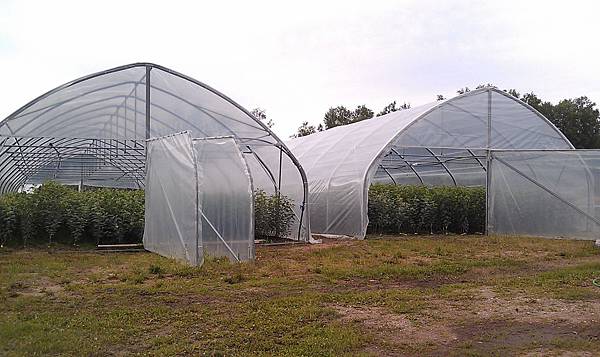 IMAG1106.jpg IMAG1106.jpg