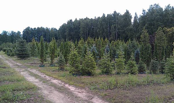 IMAG1110.jpg IMAG1110.jpg