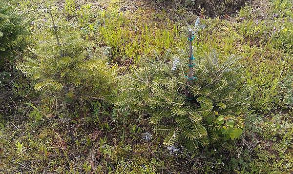 IMAG0926.jpg IMAG0926.jpg