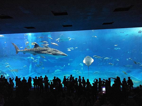 49454935_2137785183218471_282383813265326080_o.jpg 49454935_2137785183218471_282383813265326080_o.jpg