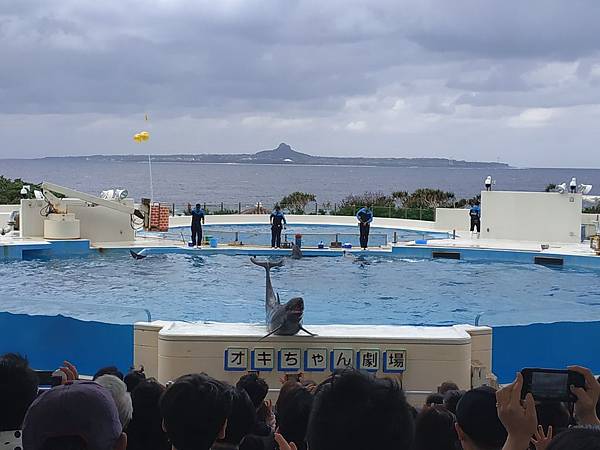 IMG_20181122_121845.jpg IMG_20181122_121845.jpg