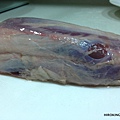 GLF009.JPG