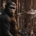 07-Dawn of the Planet of the Apes.JPG