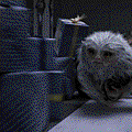 幻影猿（Demiguise）.gif