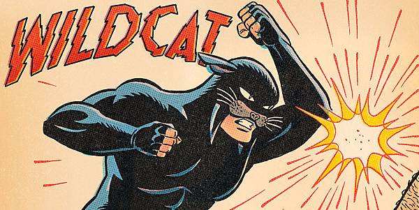 #71-野貓.jpg #71-野貓.jpg